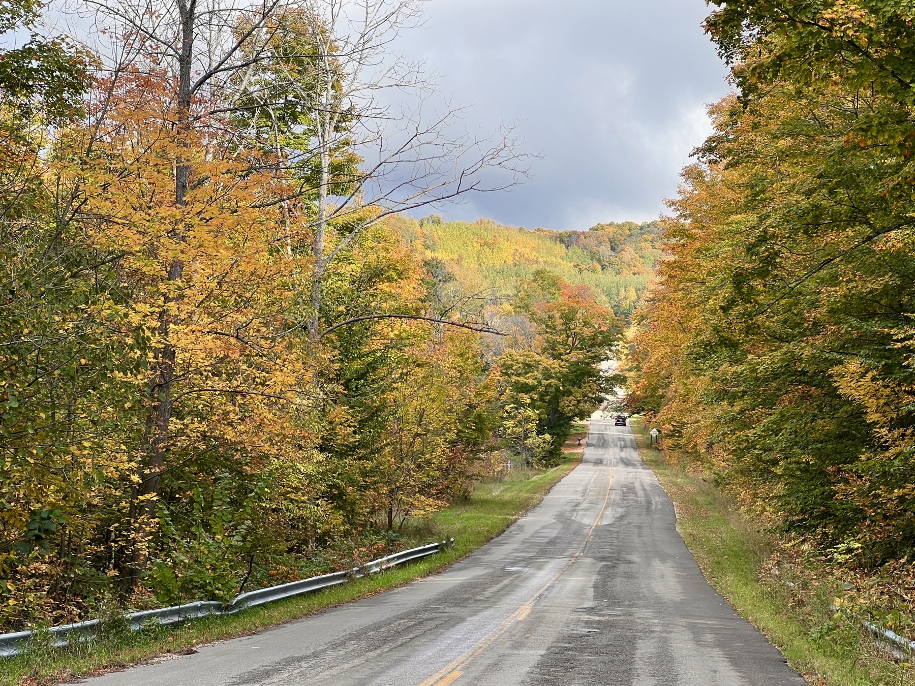 Road surrounded with trees in autumn