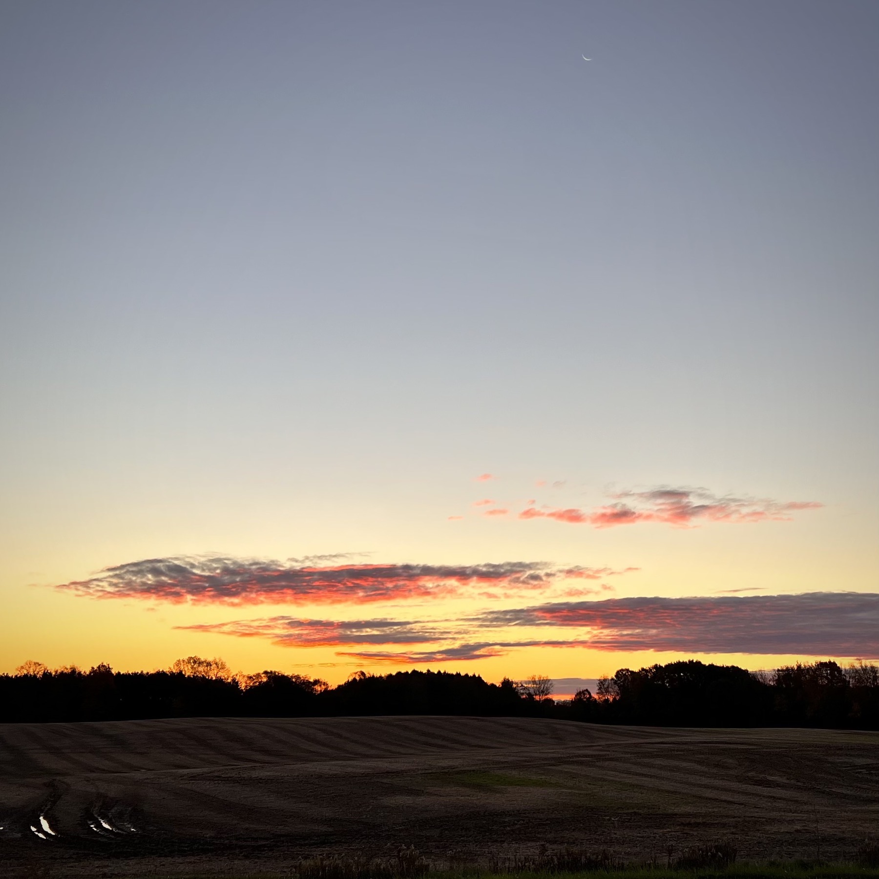 Sunrise over field with moon above.